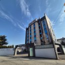 도창 | 애견동반 찜질방 [휴일도스테이] 창원점 I 내돈내산 솔직 후기