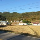 사진:남한강과소백산자락 청정지역단양개울옆 주택지"대지"2300만원​ 이미지