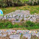 에코중앙로R 이미지