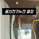 울산전기조명전업사