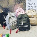 포켓불독 이미지