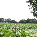 정촌면-2 이미지