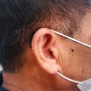 (주)킴스히어링보청기 강남본점 | 강남보청기 킴스히어링 보청기 강남본점 구매후기 가격 위치 정보