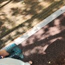 청춘뚝배기아시아문화전당점 | 혼자 떠났던 여행. 광주 1박2일. [2025.9.3-4일]광주민주화운동기록관/전일빌딩245/책과생활/펭귄마을...