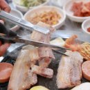 날마다생고기 이미지