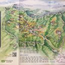 토종오리 더덕구이 이미지