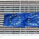 독일, 중국 바이오 연료에 대한 EU 조사 시작 이미지
