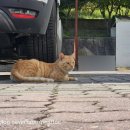 더리터 군산대점 이미지