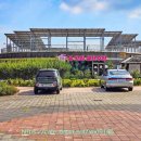 무안황토갯벌랜드 매점 이미지