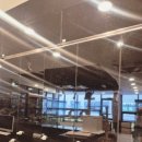 13번째고양이 이미지