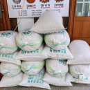 원조닭백숙 이미지