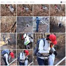 호생떡 | 청계산 (20161203) 클린산행
