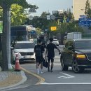 수원-0918 네이버블로그