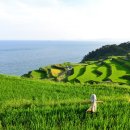 남면로-2 이미지