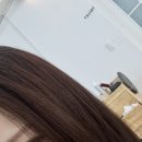 229 헤어 | 부산 전포 24시 야간 미용실 여니주 헤어 후기