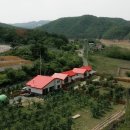 노루매기길(임동면) 네이버블로그