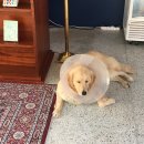 낙원장모텔 이미지