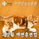 구리동물병원