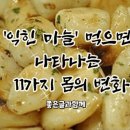 마늘 이미지