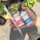신포맛집
