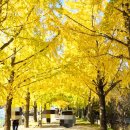 감동마을 이미지