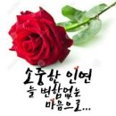 7.17(수) "삼복 더위/우천기 건강에 유의하세요" 이미지