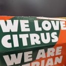 청산농장 | [내돈내산] 제주 귤 택배 유목민 생활 청산! 시트리앙 시그니처 감귤 솔직 후기 (AI 선별의 위엄)