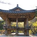 화림제 Daum카페