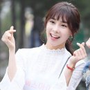 지해 카카오 검색결과