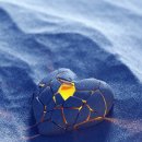 무궁화1체육관 이미지