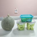 사돈농장 | [합천멜론 늘푸른농장] 합천 사돈어르신의 고당도 쌍책멜론, 올해는 완판!