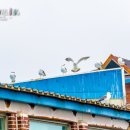 벌말목장 이미지