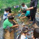송삼초등학교 이미지