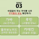 섬들에 산약초