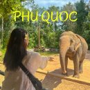 중부-현장-중부-887 | 푸꾸옥 빈원더스 워터파크 빈펄 사파리 하루 코스 입장권 가격 총정리