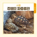 쥬뗌므 | 쥬뗌므 키즈랜드 파충류관 동물체험 할인 주차 후기