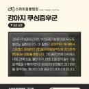 스마트동물병원 군자점 이미지