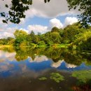 민들레세상 이미지