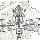 잠자리(Dragonfly)