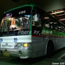 구.복사초 이미지