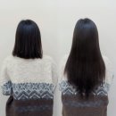 어여쁨 붙임머리