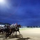 밸리댄스(야간) 이미지