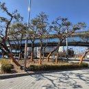 성주교통 이미지