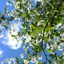 경기도 수원시 영통구 매탄로 매탄로37번길 이미지