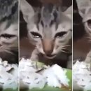 따뜻한 밥 이미지