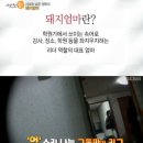 돼지엄마 - 시흥시 동서로 1086 | 돼지엄마