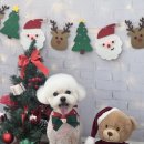 둥글리다 이미지