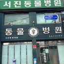 서진동물병원 이미지