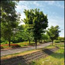 가재울세탁소 이미지