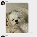 옐로우짐 5호 용산본점 | 워어어 머리부터 발끝까지 다 사